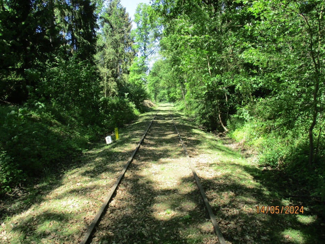 ZWNEGI14